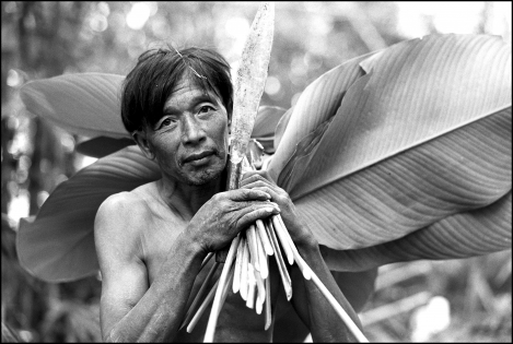 Thailande,province de Nan.Les Mlabris construisants leurs abris avec des feuilles et bambous de la for