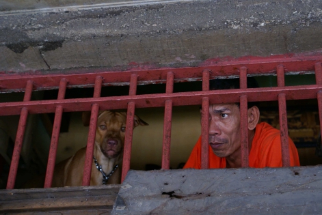  Un prisonniers avec son chien regarde l activite exterieur ,depuis la fenetre de sa cellule.